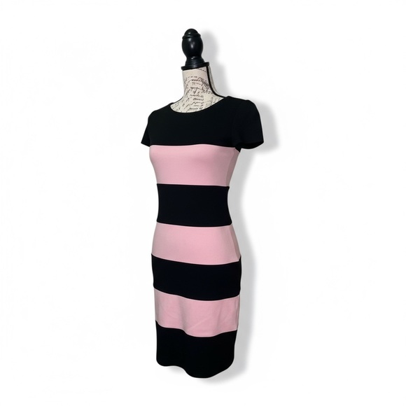 Yoana Baraschi | Black and Pink Striped Dress for Women Size Small - Picture 6 of 16